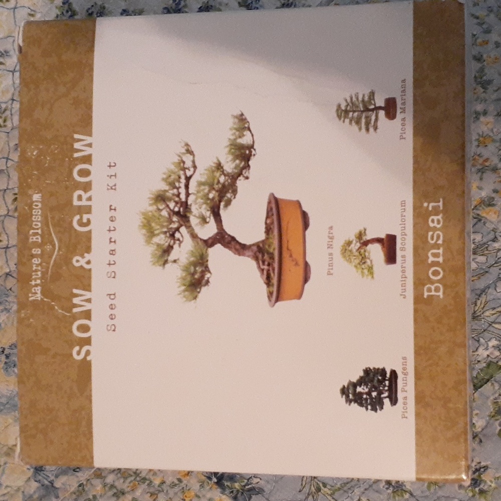 Bonsai Tree Growing 🌳 Kit (4 trees)